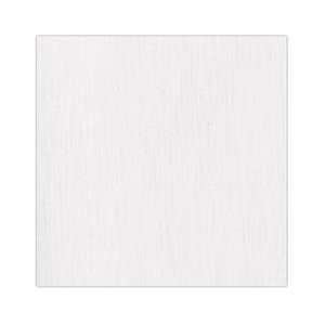   Cardstock   Linen Texture   Frosted Silver (25 Pack) 