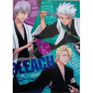  Anime Bleach Glossy Toshiro Laminated Poster #4572 
