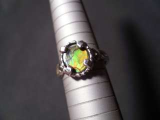   Canadian Triplet Ammolite Fossil Sterling Silver Ring Size 7 Ammonite