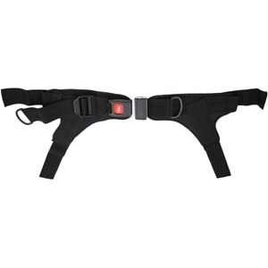 Positioning Belt (4 point, padded)   Auto style, 1“ wide, 48“ long 