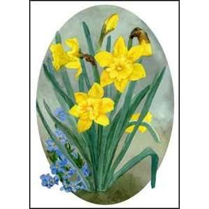  Daffodil Time Daffodils King Alfred Floral Flower Six Note 