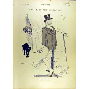  1896 Model Comedy Sketch Lady Gent Goldstein Theatre