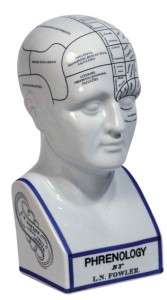 Porcelain Victorian Medical Fowler Phrenology Head NIB  