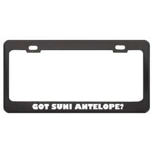 Got Suni Antelope? Animals Pets Black Metal License Plate Frame Holder 