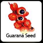 Suppress your Appetite with Guaraná