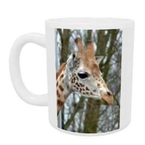  A baby giraffe at Twycross Zoo,   Mug   Standard Size 