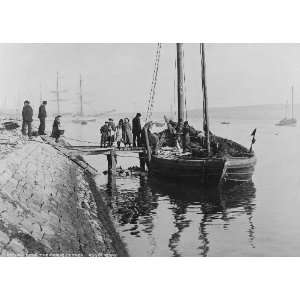  Return from the fishing, Lerwick. People on boat, pier 