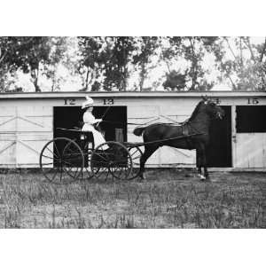  1912 photo Horse show, July 1912