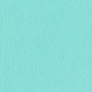   Wide Arctic Fleece Fabric Turquoise By The Yard Arts, Crafts & Sewing