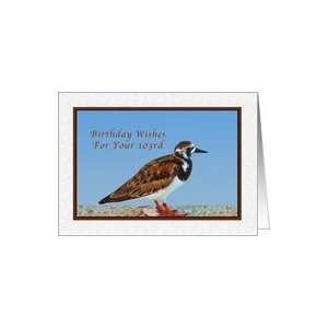  Birthday, 103rd, Ruddy Turnstone Bird Card Toys & Games