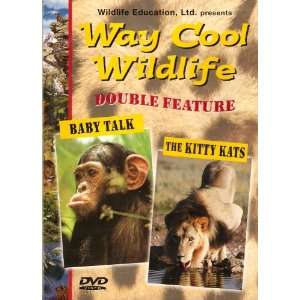   Double Feature   Baby Talk & The Kitty Kats (DVD) 