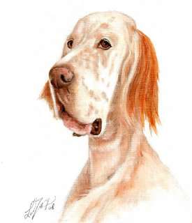   Original Oil DOG Portrait Painting Art ENGLISH SETTER Artwork  