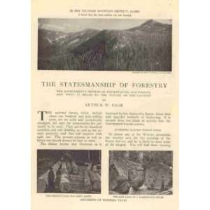  1908 Forestry Idaho Washington Colorado Forest Rangers 