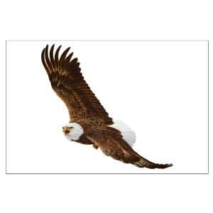  Large Poster Bald Eagle Flying 