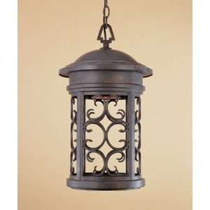 Outdoor Lantern   Dark Sky Collection  31134* Other finishes available