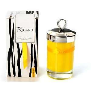  Rigaud Candle, Tournesol ~ Large