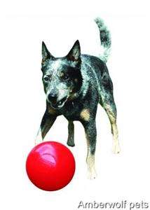 Boomer Ball indestructible solid tough hard wearing dog puppy toy 