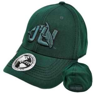  NCAA Jacksonville Dolphins Top of World Green Black Stitch 
