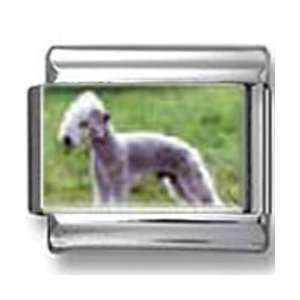  Bedlington Terrier Dog Photo Italian Charm Jewelry