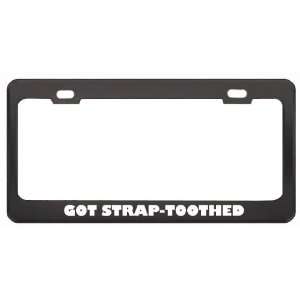 Got Strap Toothed Whale? Animals Pets Black Metal License Plate Frame 