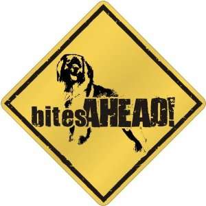  New  Leonberger   Bites Ahead   Crossing Dog