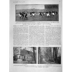  1907 SCOTLAND WALES RUGBY HOMESHALL FARM PRINCE PERSIA 
