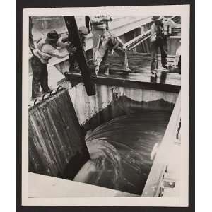  Spillway ordered thrown open,Bonnet Carre dam,LA,1950 
