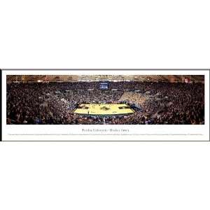  Purdue UniversityNCAA Basketball Panoramic Print from The 