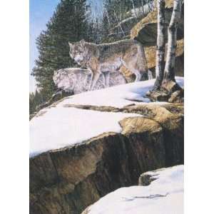   Gilder   On the Lookout   Timber Wolves Artists Proof