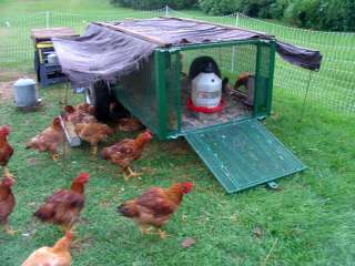 Portable Chicken Range Coop Backyard Tractor Pustured  