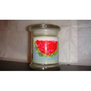  Candle   Fresh Melon scent 