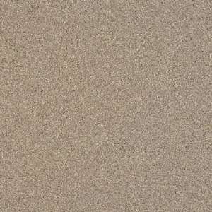   Possibilities Petit Point Wet Sand Vinyl Flooring