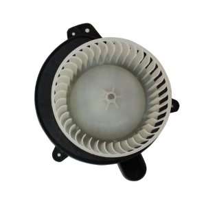  TYC 700217 Replacement Blower Assembly for Ford Focus 
