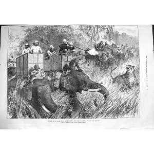   1876 Prince Wales Tiger Shooting Jung Pahadoor Terai