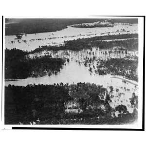  Cabin Teele Crevasse, Louisiana,1927 Flood
