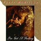 ve Got a Feeling by Terry McMillan (CD, Sep 1993, Step One Records 