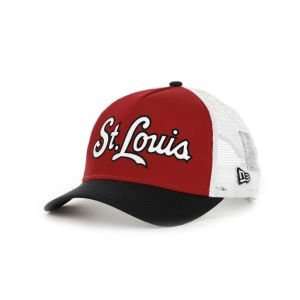 St. Louis Cardinals New Era MLB Team Fresh Cap