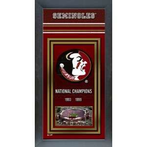  Florida State Seminoles Framed Team Championship Banner 
