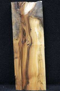 Spalted Maple Fiddleback Figured Taxidermy Mount 5342  
