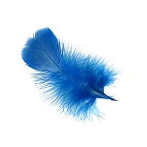  Royal Blue Turkey Flat Feather 100 152mm Supplys Arts 