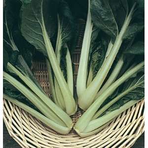  Davids Non Hybrid Asian Greens Vitamin (Brassica rapa 