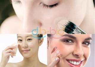 Foundation Powder Blush Brow Eyeshadow Lip Eyeliner Brush Cosmetic 