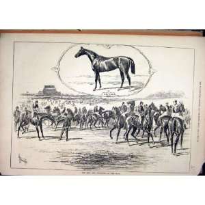  1878 Horse Race City Suburban Starting Post Sefton