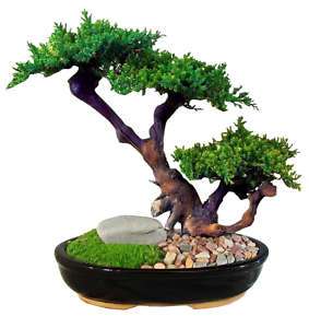 Triple Bonsai Tree Preserved Forever Green Art New  