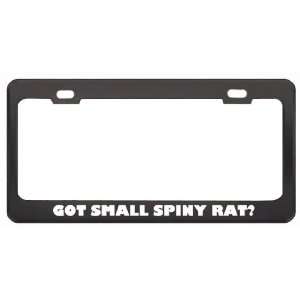 Got Small Spiny Rat? Animals Pets Black Metal License Plate Frame 