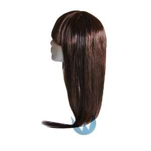  22 Clip in Straight Long Hair Extension (Brown) Beauty