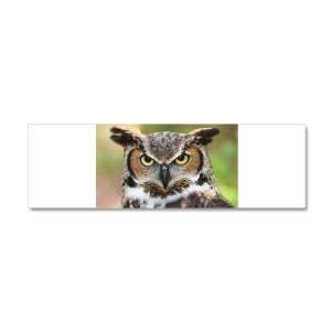    21 x 7 Wall Vinyl Sticker Great Horned Owl 