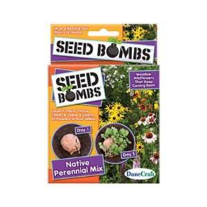   Craft Seed Bombs 6/pkg native Perennial Mix 3 Pack 