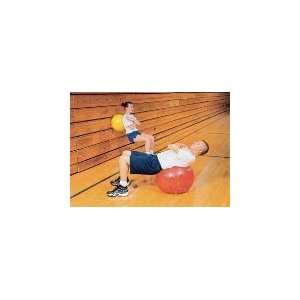  Set of 4   Ball Chairs Exercise Balls  21 5/8 Sports 