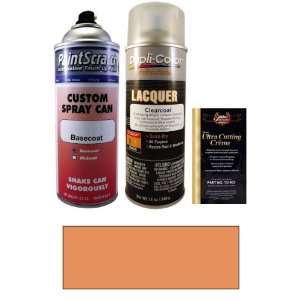  12.5 Oz. Copper or Burnished Poly Spray Can Paint Kit for 